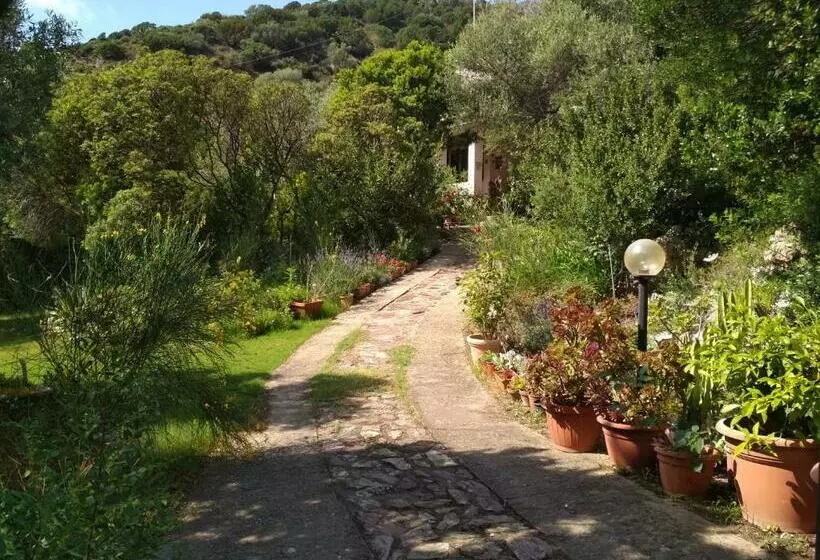 B&b S Archiotta