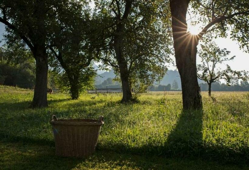 住宿加早餐  Bauernhof Lindenhof