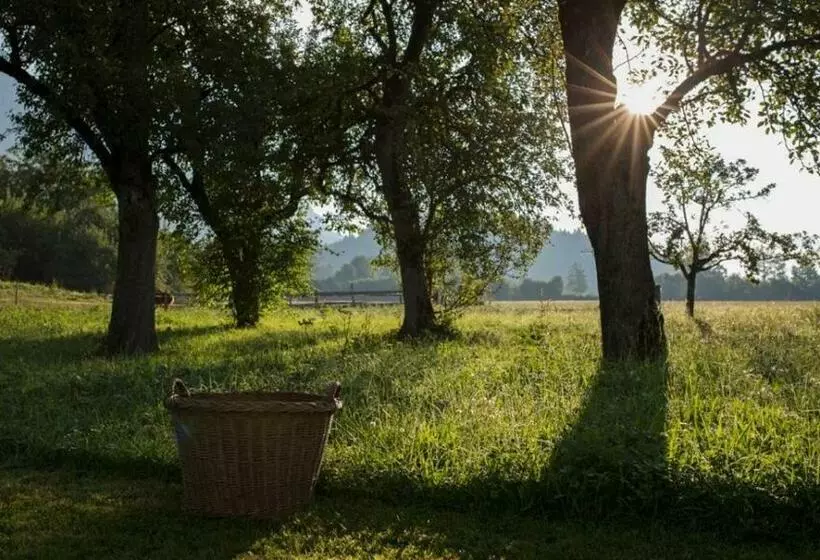 Aamiaismajoitus (B&B) Bauernhof Lindenhof