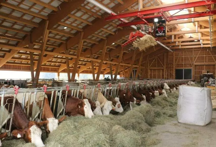 Aamiaismajoitus (B&B) Bauernhof Lindenhof