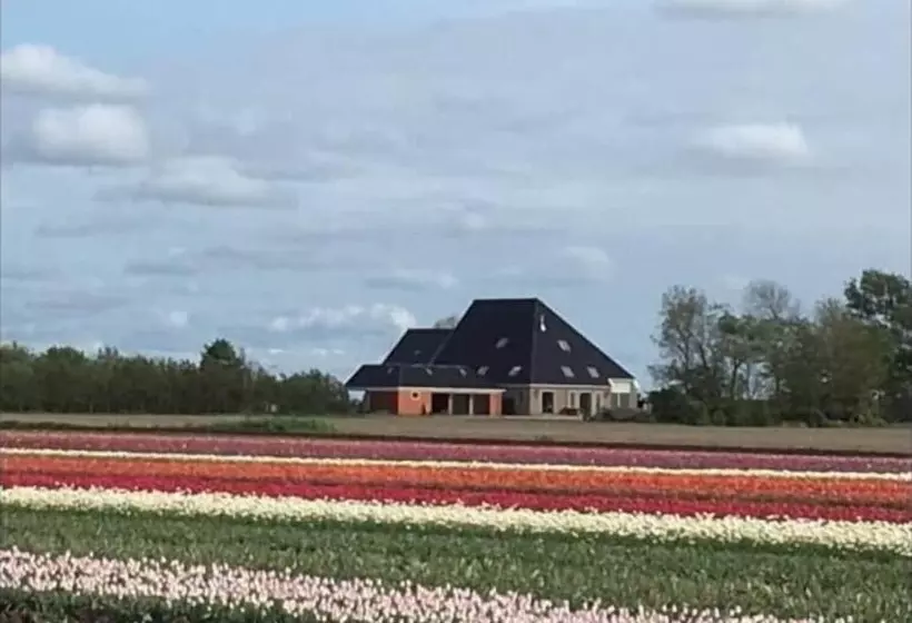Aamiaismajoitus (B&B) Boerderij De Waard