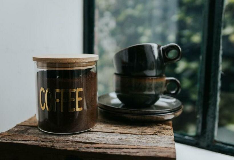 住宿加早餐 De Vijgenhof