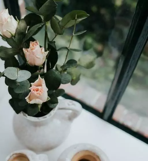 ベッドアンドブレックファースト De Vijgenhof