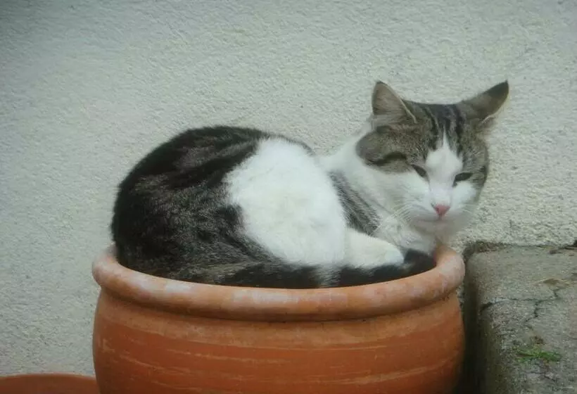 Aamiaismajoitus (B&B) La Revaudiere