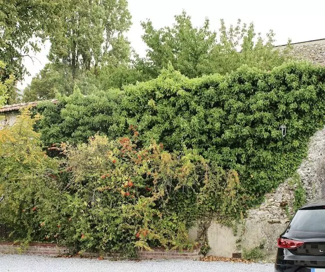 ベッドアンドブレックファースト Rêve Champenois Chambres D Hôtes