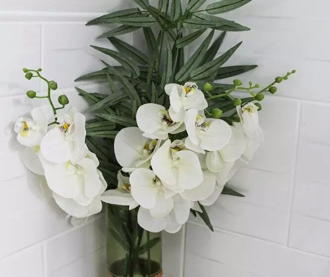 ベッドアンドブレックファースト Rêve Champenois Chambres D Hôtes