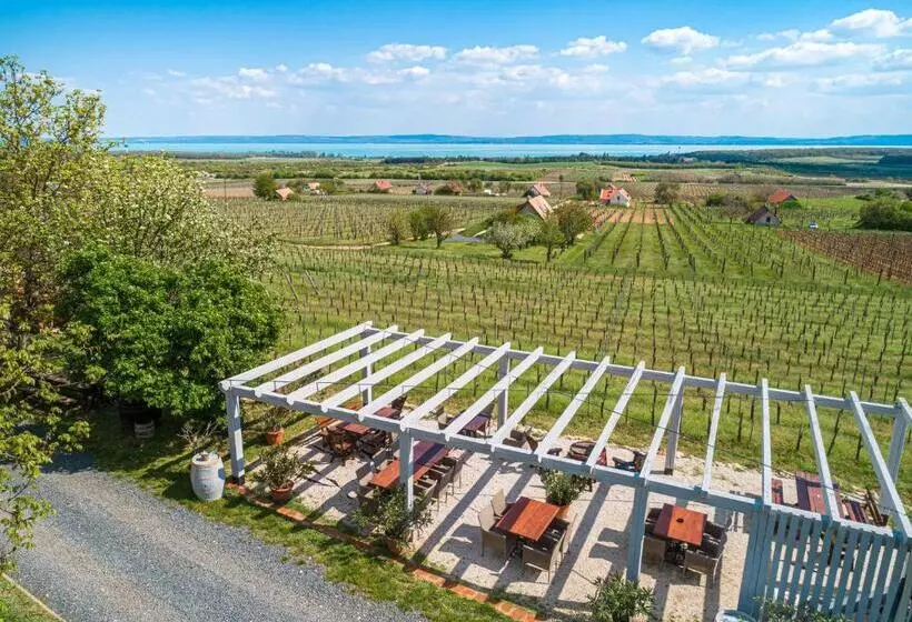 Aamiaismajoitus (B&B) Tagyon Birtok Royal Apartmanház