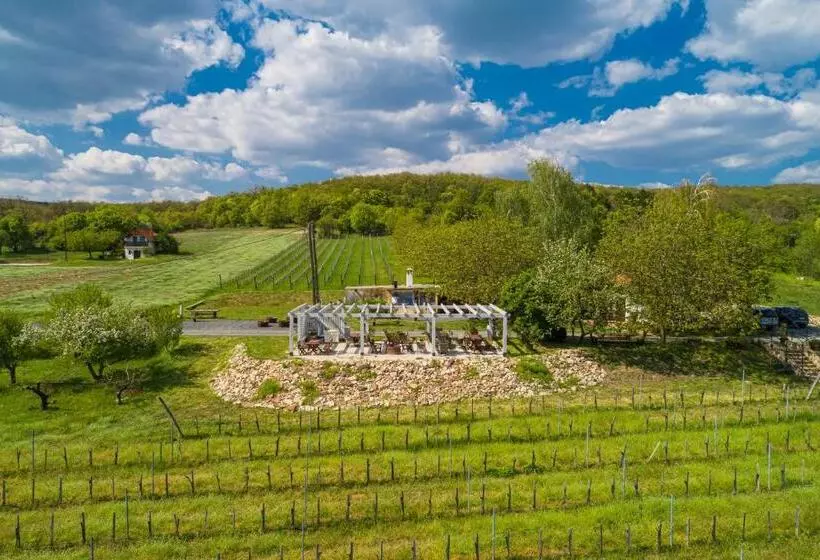 Aamiaismajoitus (B&B) Tagyon Birtok Royal Apartmanház