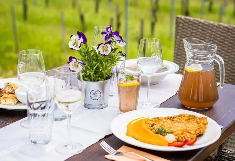 Aamiaismajoitus (B&B) Tagyon Birtok Royal Apartmanház