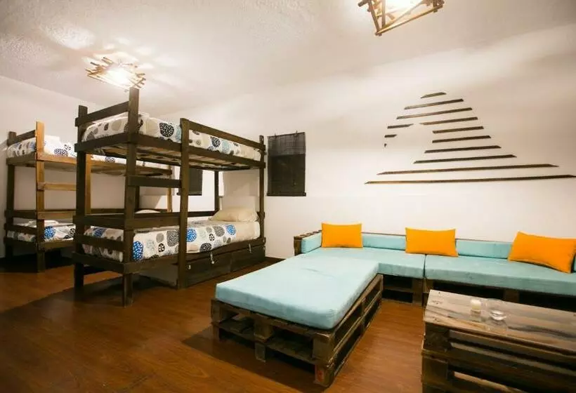 Douro Surf Hostel
