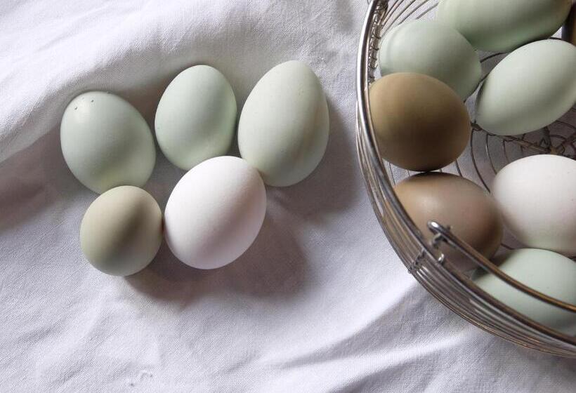 فندق Capannacce Organic And Horse Farm