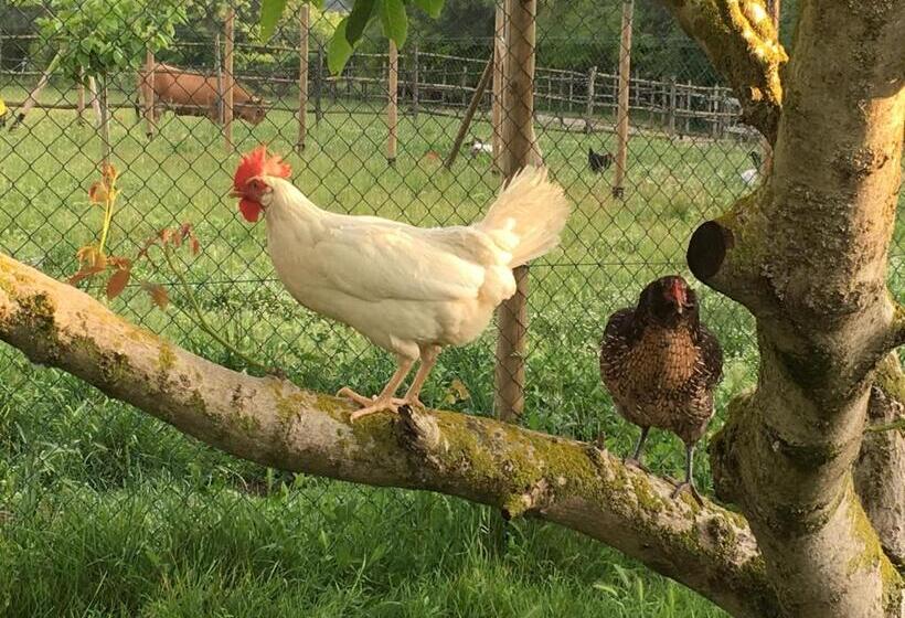 فندق Capannacce Organic And Horse Farm