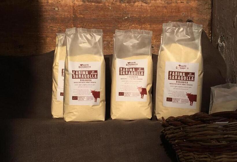 فندق Capannacce Organic And Horse Farm