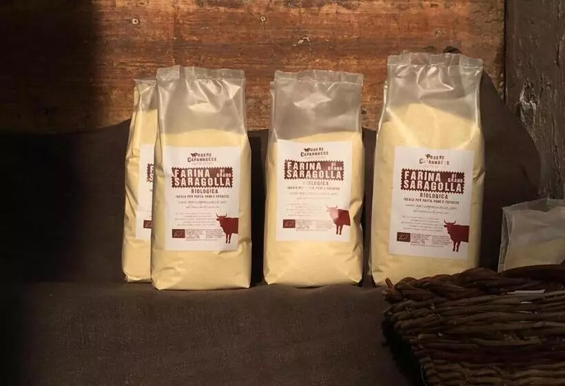 Hotelli Capannacce Organic And Horse Farm