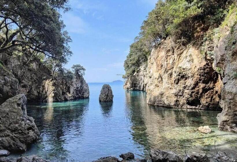 膳宿费 Affittacamere In Piazzetta Da Vasco