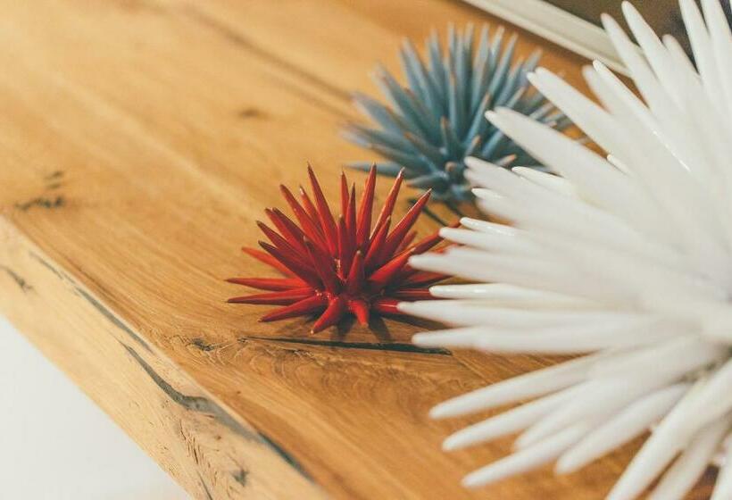 פנסיון La Pergola