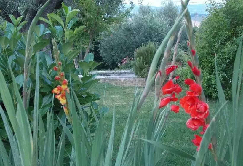 B&b La Torretta
