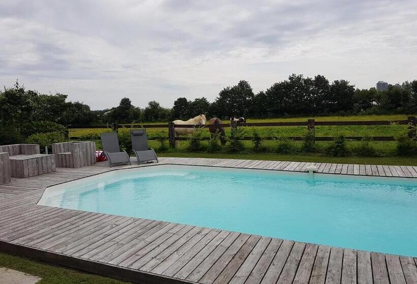 住宿加早餐 Le Vieux Logis De La Galocherie