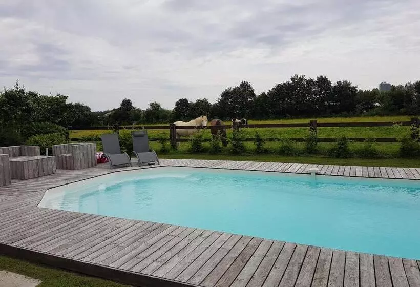 Aamiaismajoitus (B&B) Le Vieux Logis De La Galocherie