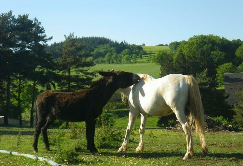 ベッドアンドブレックファースト Mas De La Boheme L Hermet