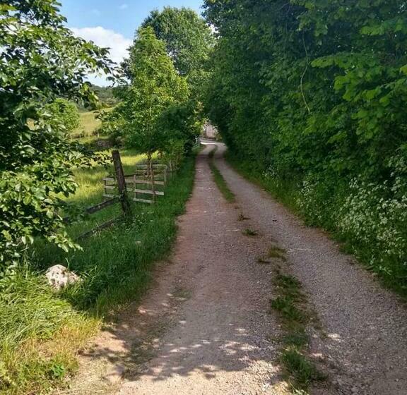 ベッドアンドブレックファースト Mas De La Boheme L Hermet