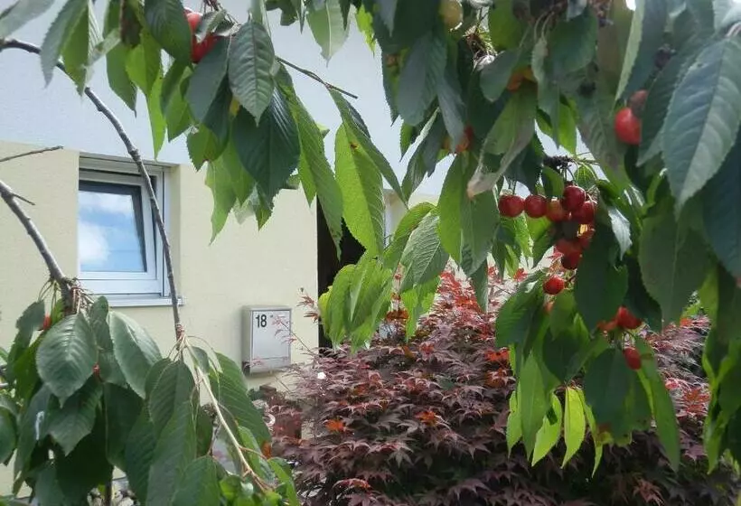 Bed & Breakfast Engen