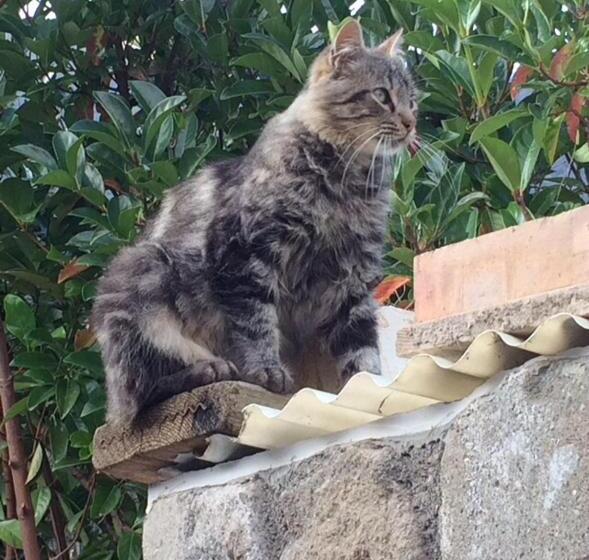 هتل Agriturismo Le Grotte