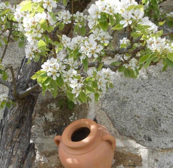 צימר Chambre D Hôtes Myrtille