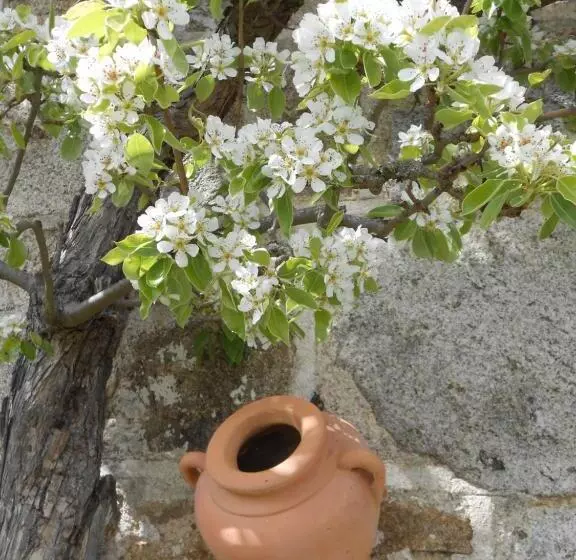 ベッドアンドブレックファースト Chambre D Hôtes Myrtille