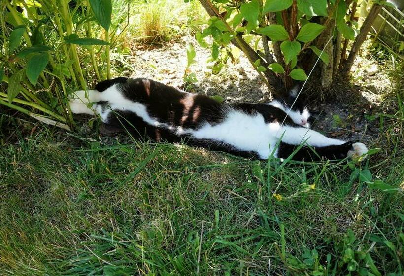 민박 La Grille Fleurie, Chambres D Hôte Chez L Habitant