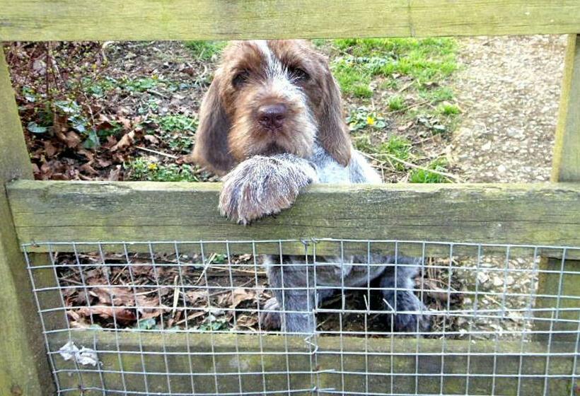 민박 Watchcombe House