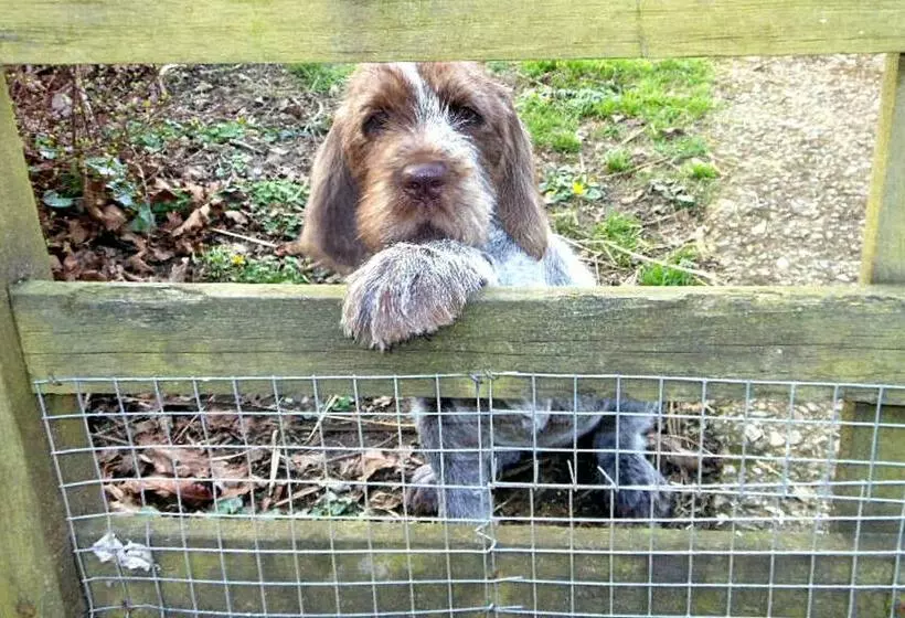 Aamiaismajoitus (B&B) Watchcombe House