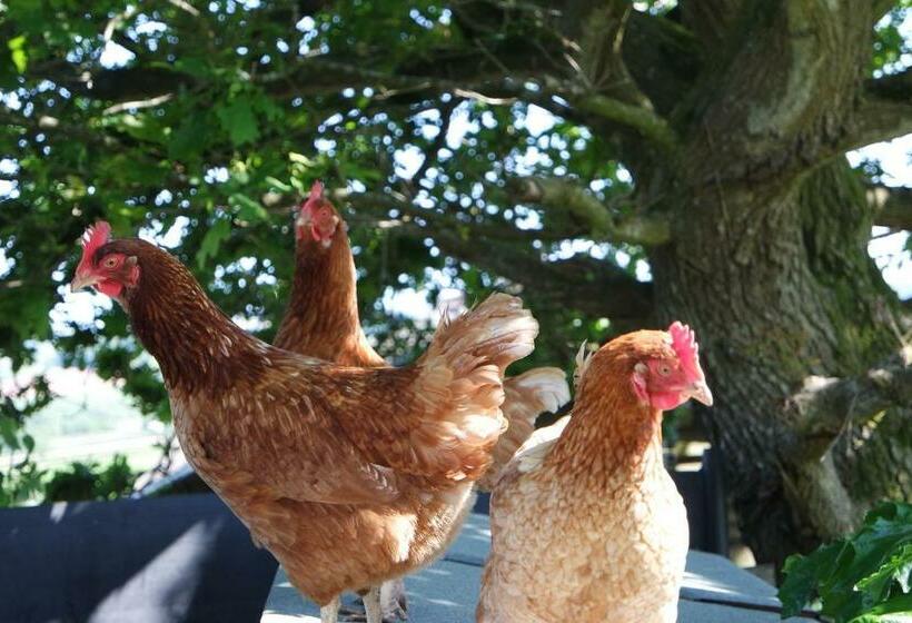 민박 Watchcombe House