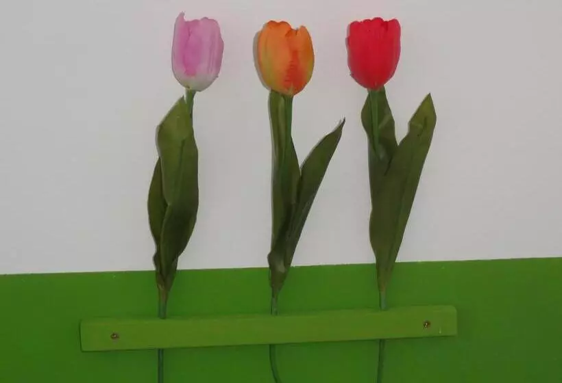 Peanuts Hostel & Meer