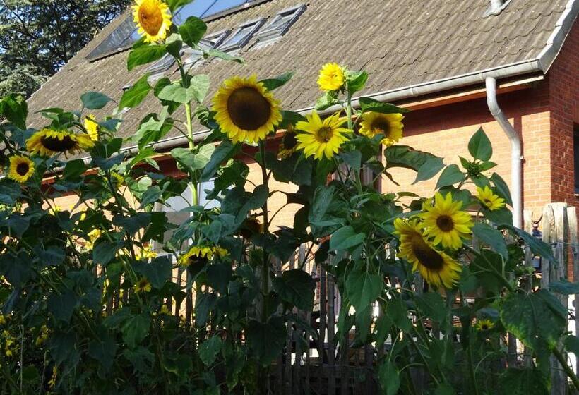 Peanuts Hostel & Meer