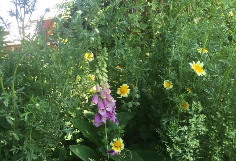 Peanuts Hostel & Meer