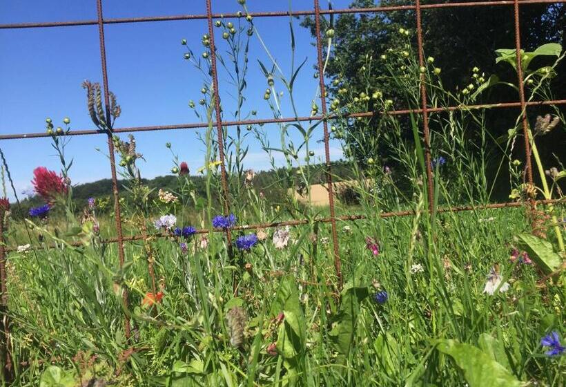 Peanuts Hostel & Meer