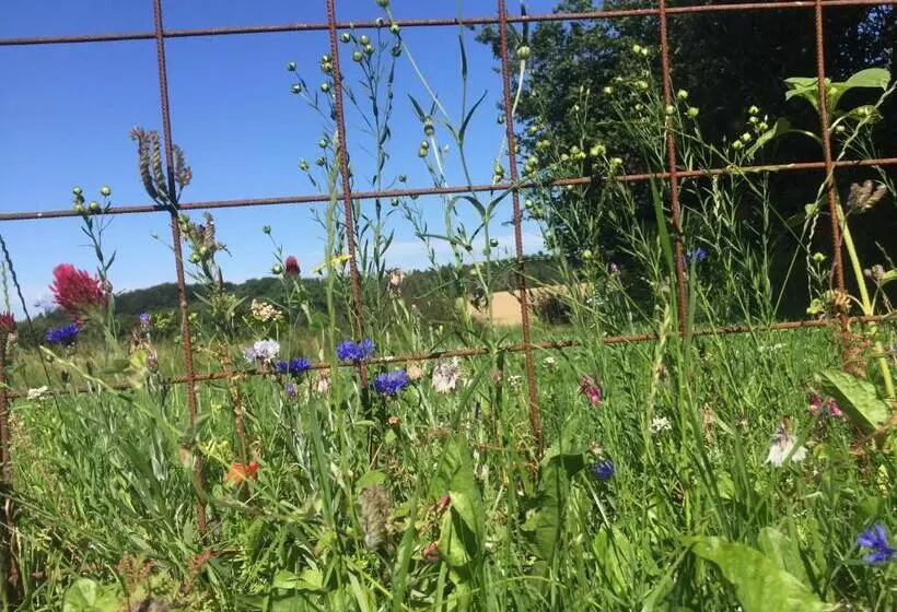 Peanuts Hostel & Meer