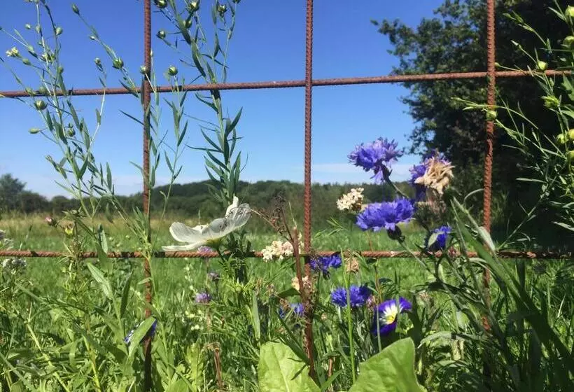 Peanuts Hostel & Meer