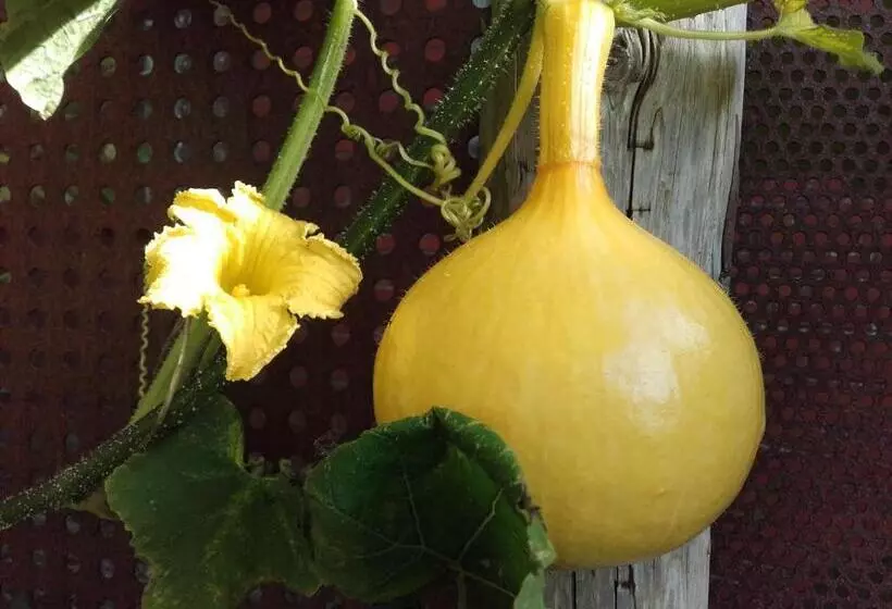 Peanuts Hostel & Meer