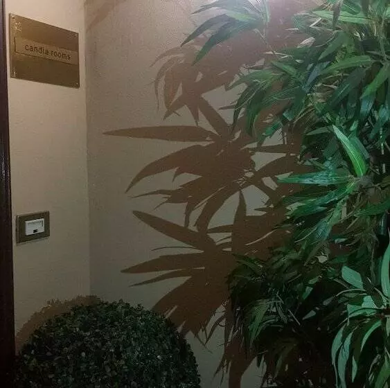 Aamiaismajoitus (B&B) Candia41