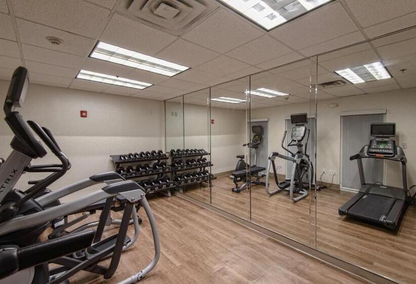 Отель Holiday Inn Express & Suites Corpus Christi, An Ihg