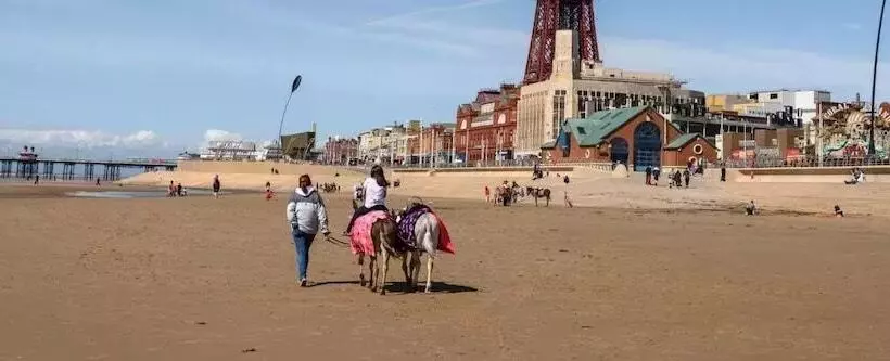 Отель Jesmond International