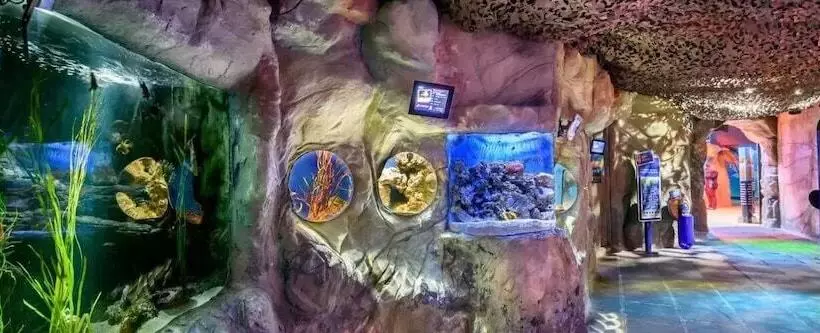 Отель Jesmond International