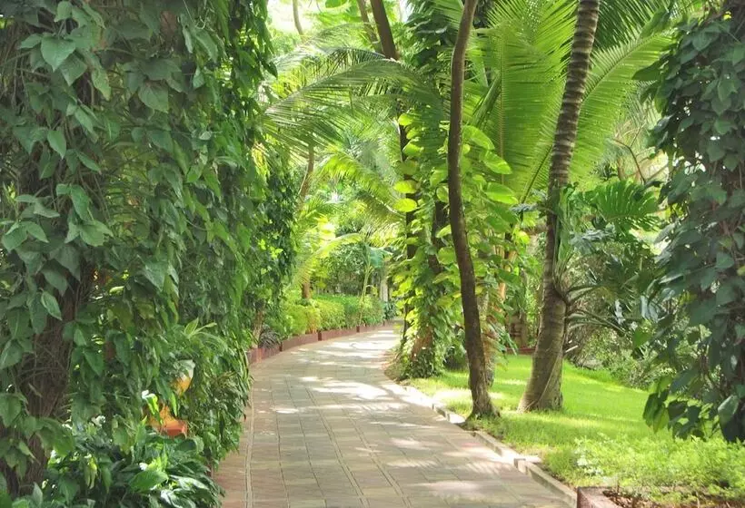 فندق Mayfair Lagoon