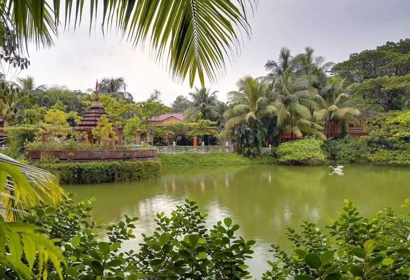 فندق Mayfair Lagoon