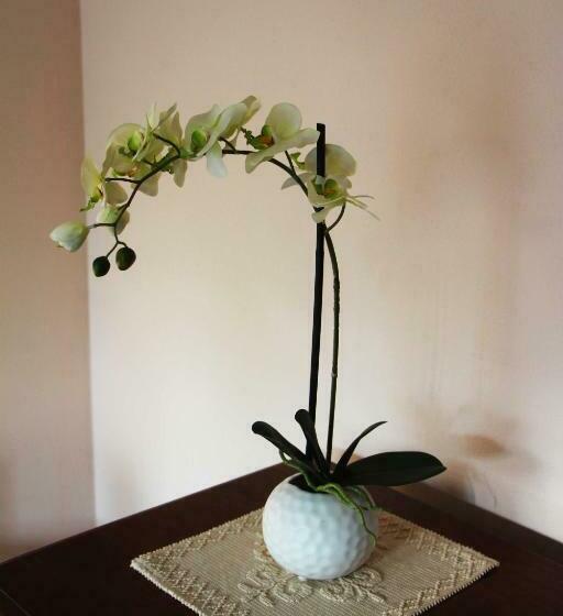 B&b Collegio Dei Palazzi