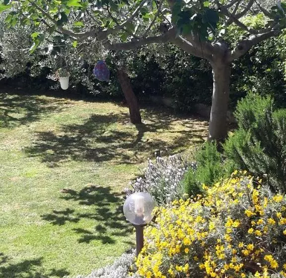 B&b L Albero Di Antonia