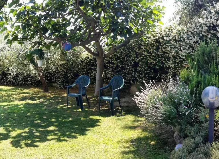 B&b L Albero Di Antonia