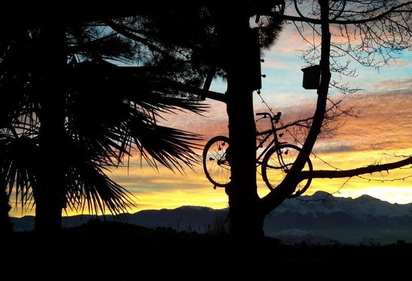 B&b L Albero Di Antonia